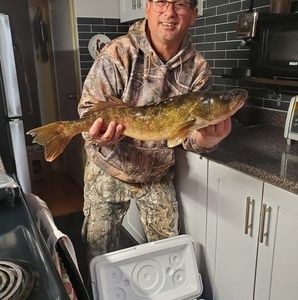 Meet your Posher, Gyozo